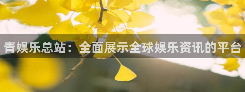 焦点娱乐网：青娱乐总站：全面展示全球娱乐资讯的平台