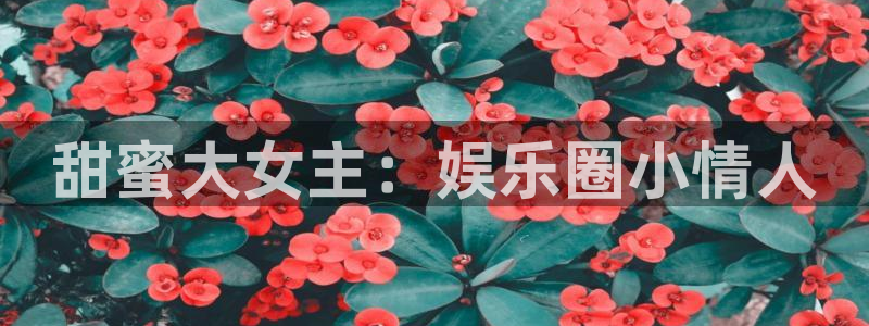 焦点娱乐：甜蜜大女主：娱乐圈小情人