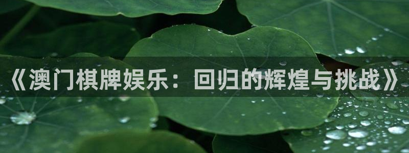 焦点娱乐官网：《澳门棋牌娱乐：回归的辉煌与挑战》