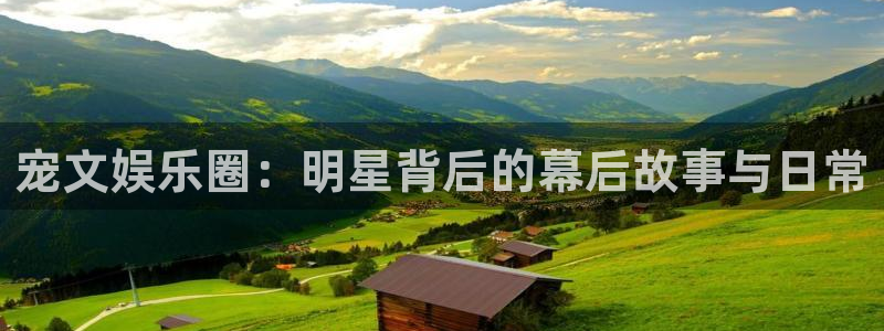 焦点娱乐：宠文娱乐圈：明星背后的幕后故事与日常